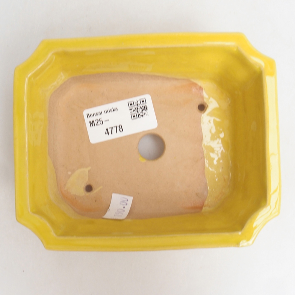 Bol à bonsaï en céramique 13 x 10,5 x 4 cm, jaune