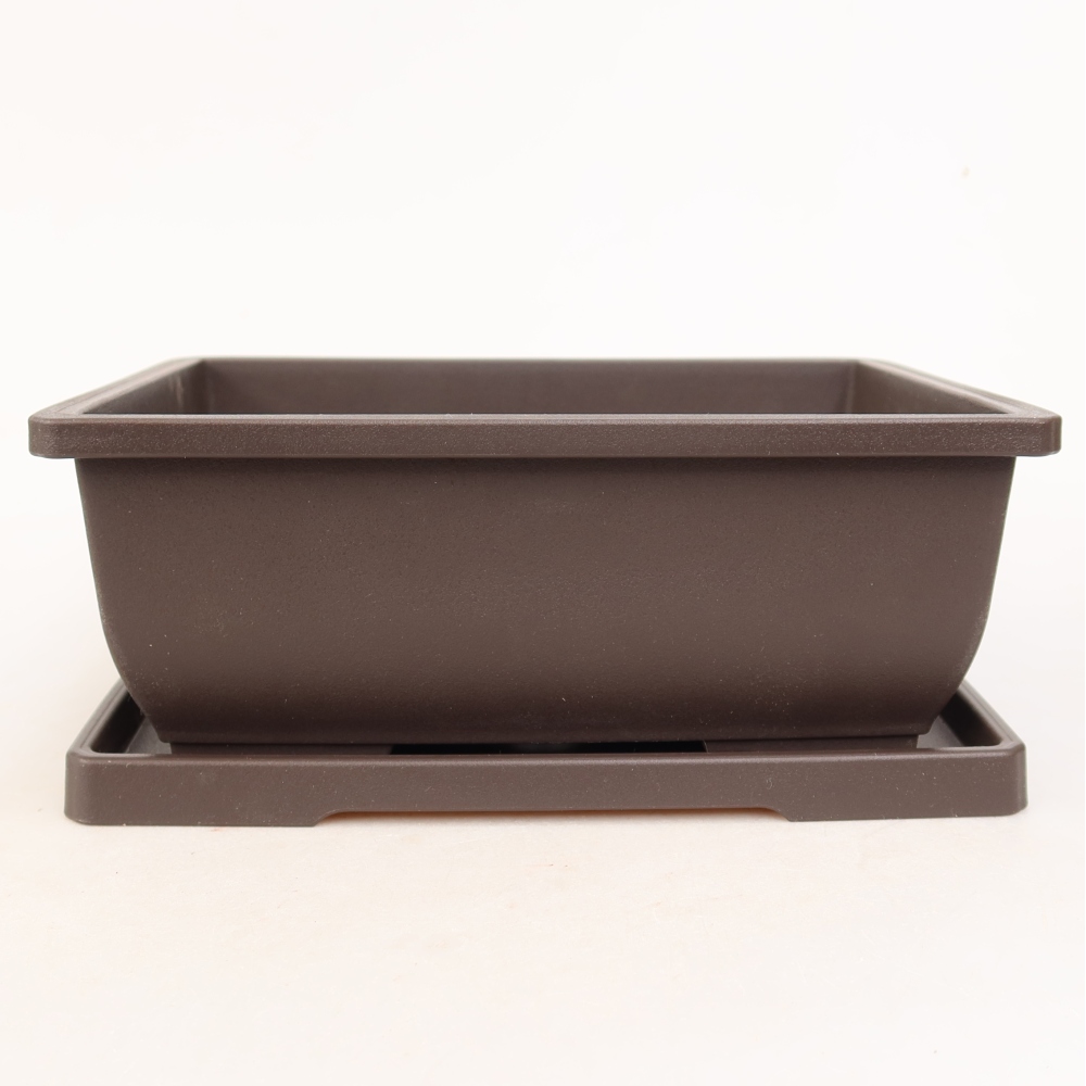 Pot à bonsaï + soucoupe en plastique MP-2 - 21,5 x 15,5 x 8 cm