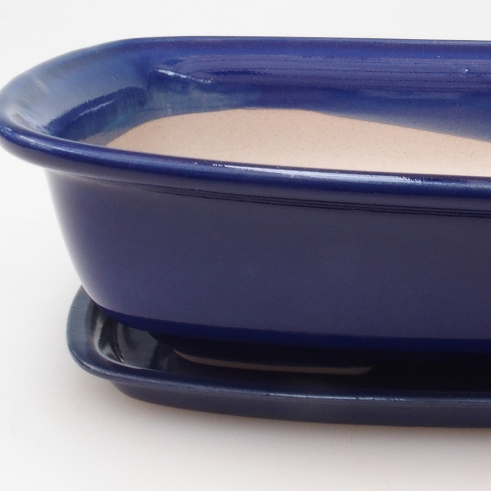 Bol Bonsaï + soucoupe H08 - 25 x 19,5 x 6 cm - bleu