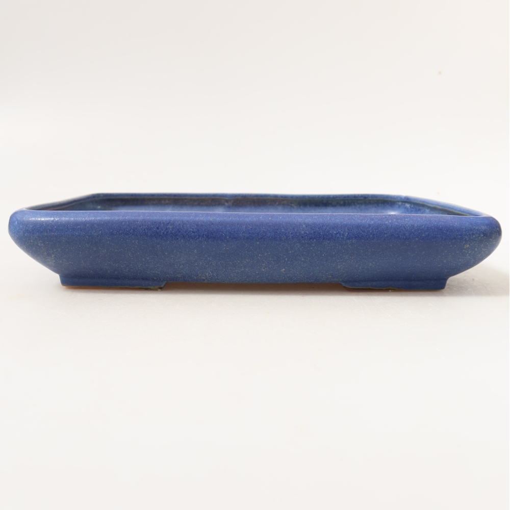 Pot à bonsaï en céramique 24 x 17,5 x 4 cm, couleur bleue