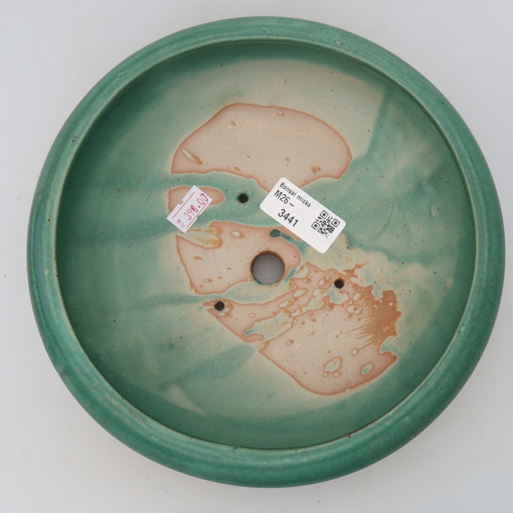 Pot à bonsaï en céramique 20 x 20 x 7,5 cm, couleur verte