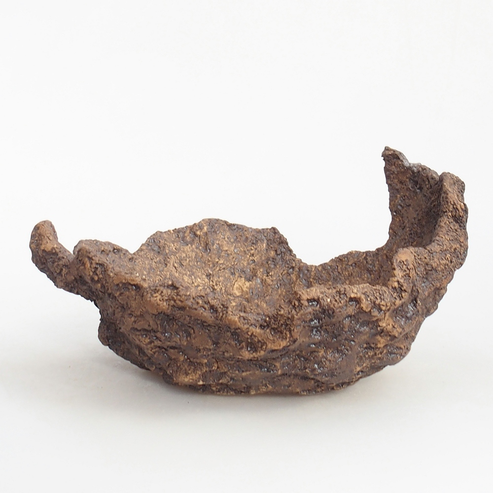 Coquille en céramique 18 x 18 x 12 cm , couleur marron