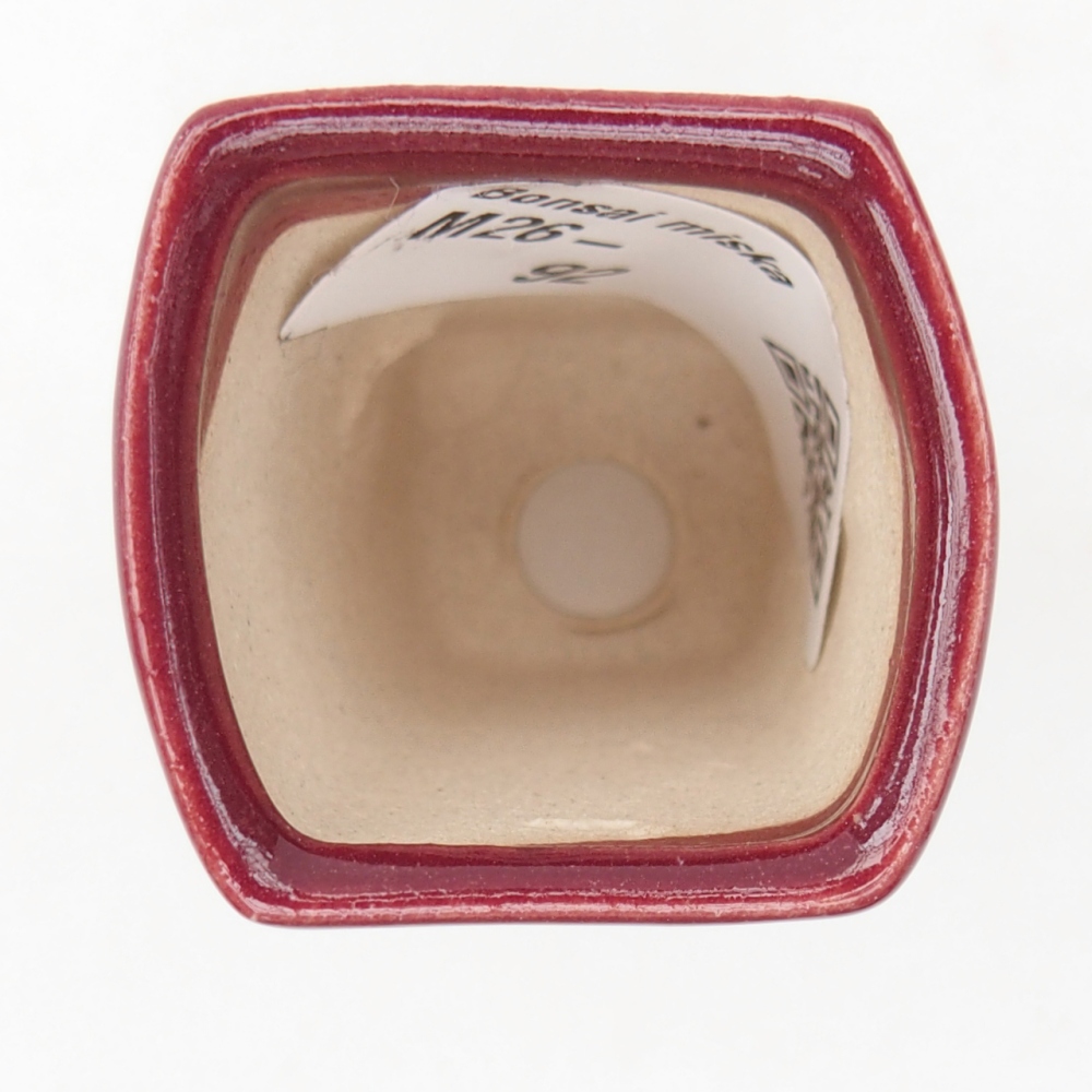 Mini bol bonsaï 3,5 x 3 x 5,5 cm, couleur bordeaux