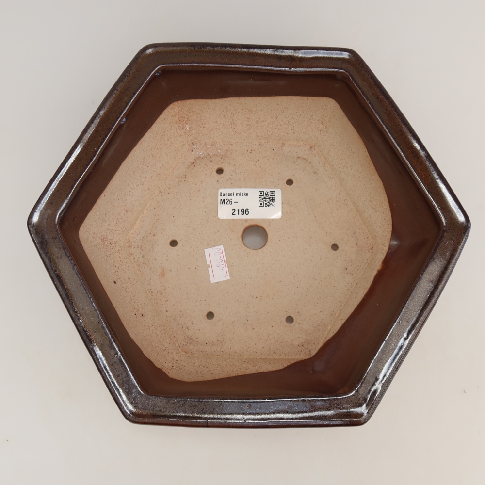 Pot à bonsaï en céramique 24 x 21,5 x 7,5 cm, couleur marron