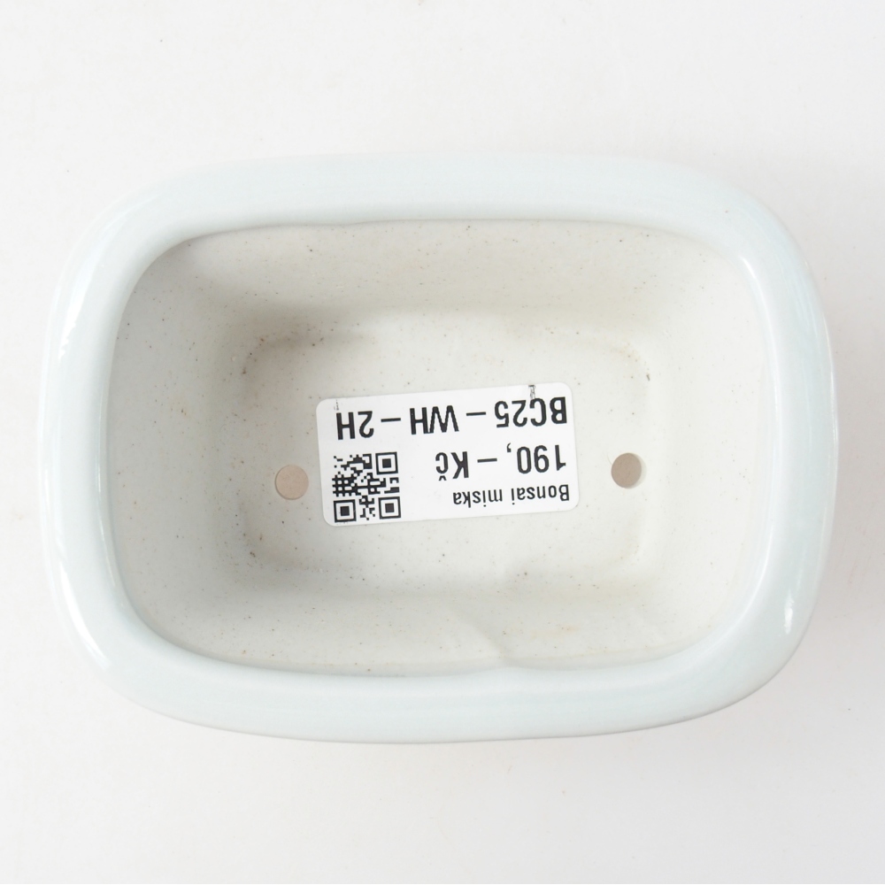 Mini bol bonsaï 10 x 7,5 x 4 cm, couleur blanc