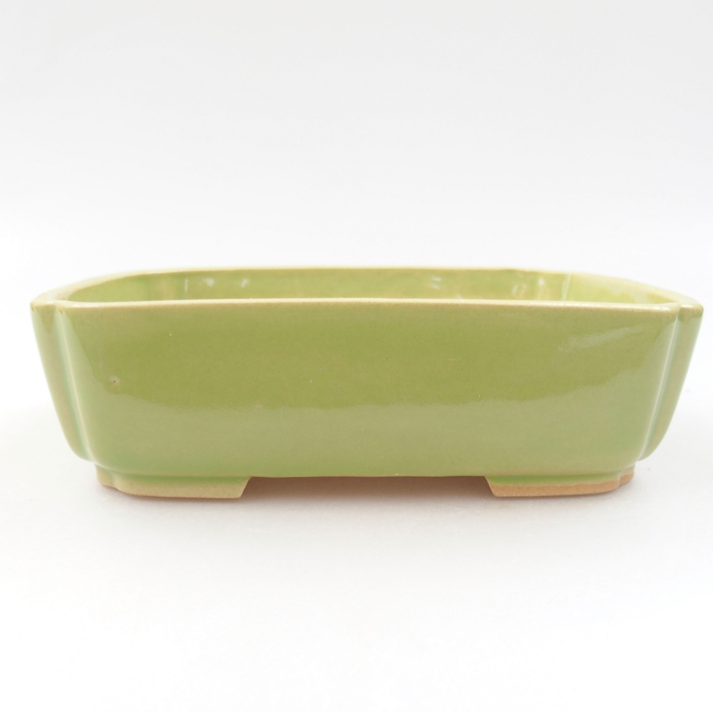 Bol à bonsaï en céramique 22 x 17 x 5 cm, vert