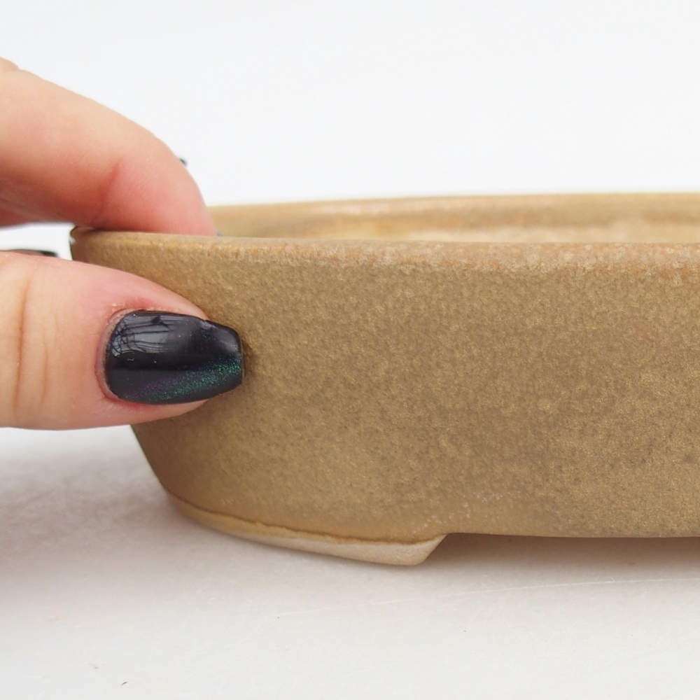 Bol à bonsaï en céramique 17 x 14 x 4 cm, couleur beige