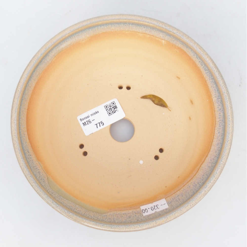 Bol à bonsaï en céramique 17 x 17 x 5,5 cm, vert-brun