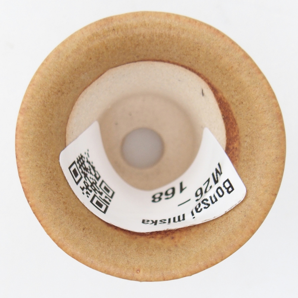 Mini bol bonsaï 4,5 x 4,5 x 4 cm, brun