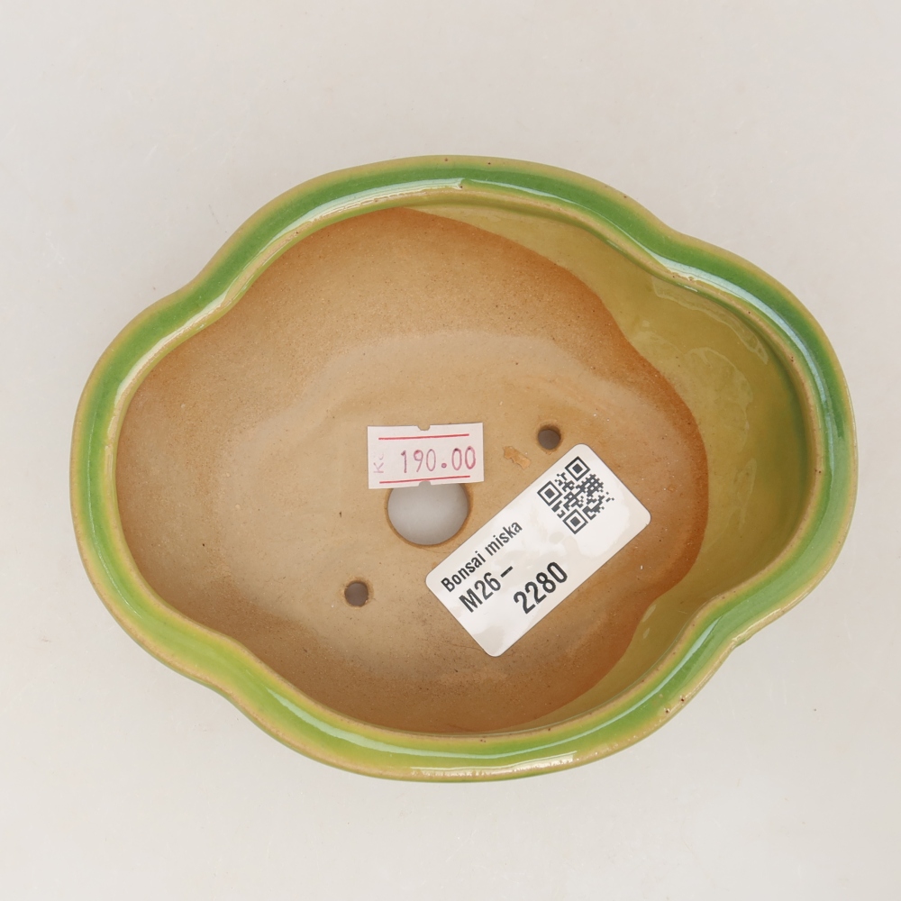 Pot à bonsaï en céramique 12,5 x 10,5 x 4,5 cm, couleur verte