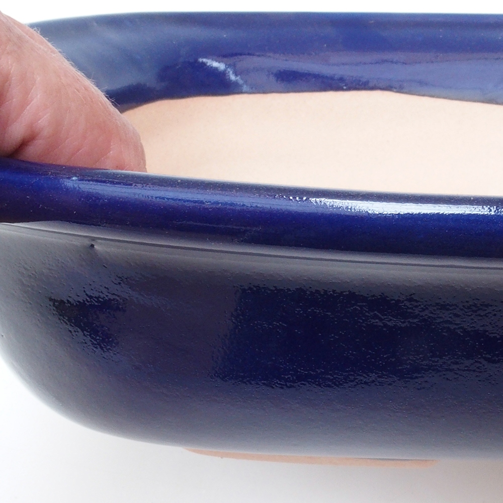 Coupe bonsaï H10 - 37 x 28 x 9 cm - bleu