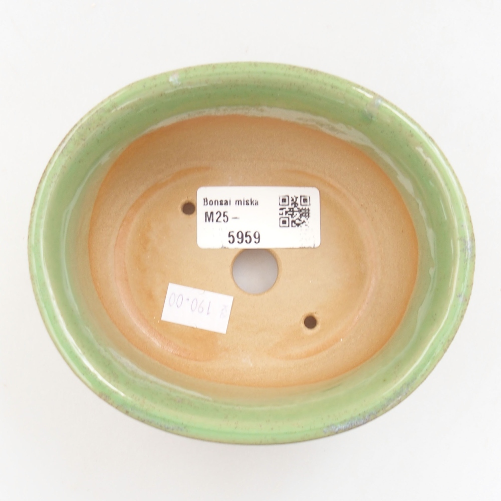 Bol à bonsaï en céramique 22 x 17 x 5 cm, vert