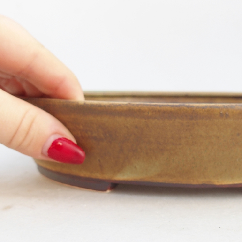 Bol à bonsaï en céramique 21 x 19 x 4,5 cm, vert