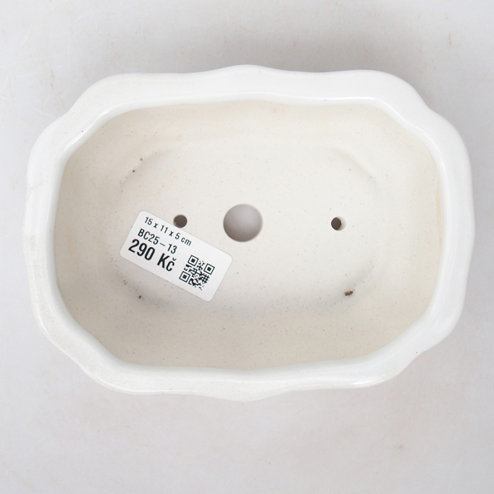 Bol à bonsaï en céramique 15 x 11 x 5 cm, couleur blanc