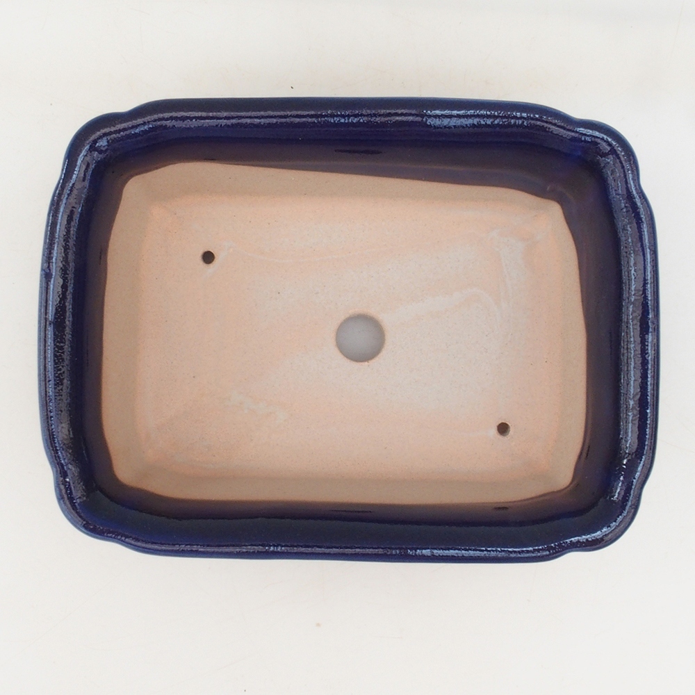 Coupe bonsaï H50 - 17 x 12,5 x 5,5 cm - bleu