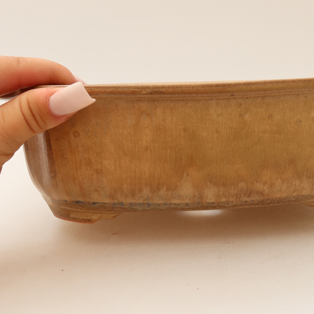 Pot à bonsaï en céramique 24,5 x 21 x 7,5 cm, couleur beige