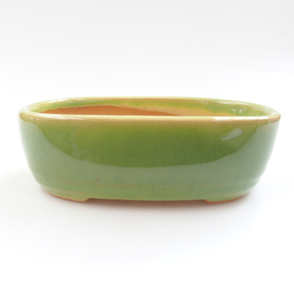 Bol à bonsaï en céramique 22 x 17 x 5 cm, vert