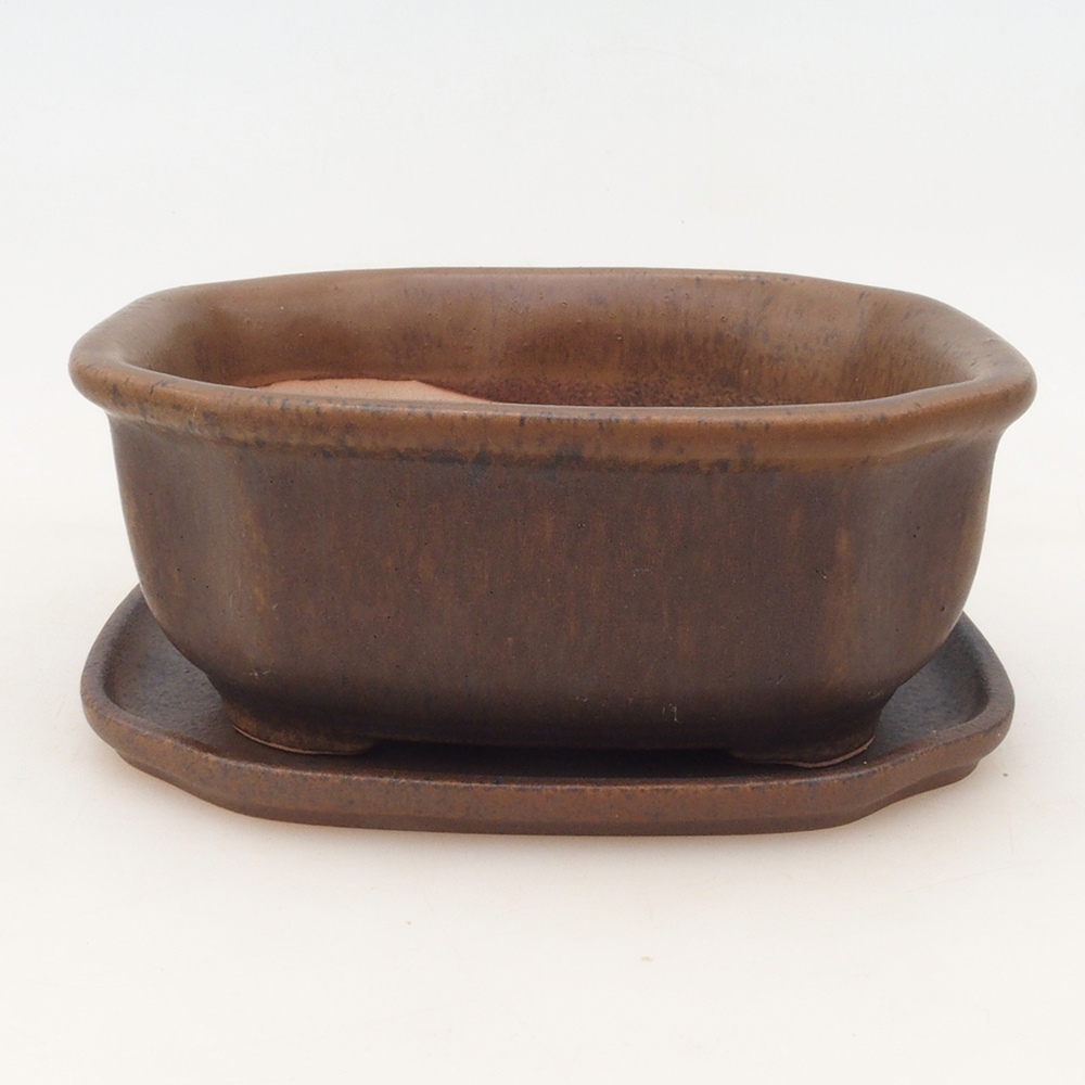 Bol Bonsaï + soucoupe H32 - brun