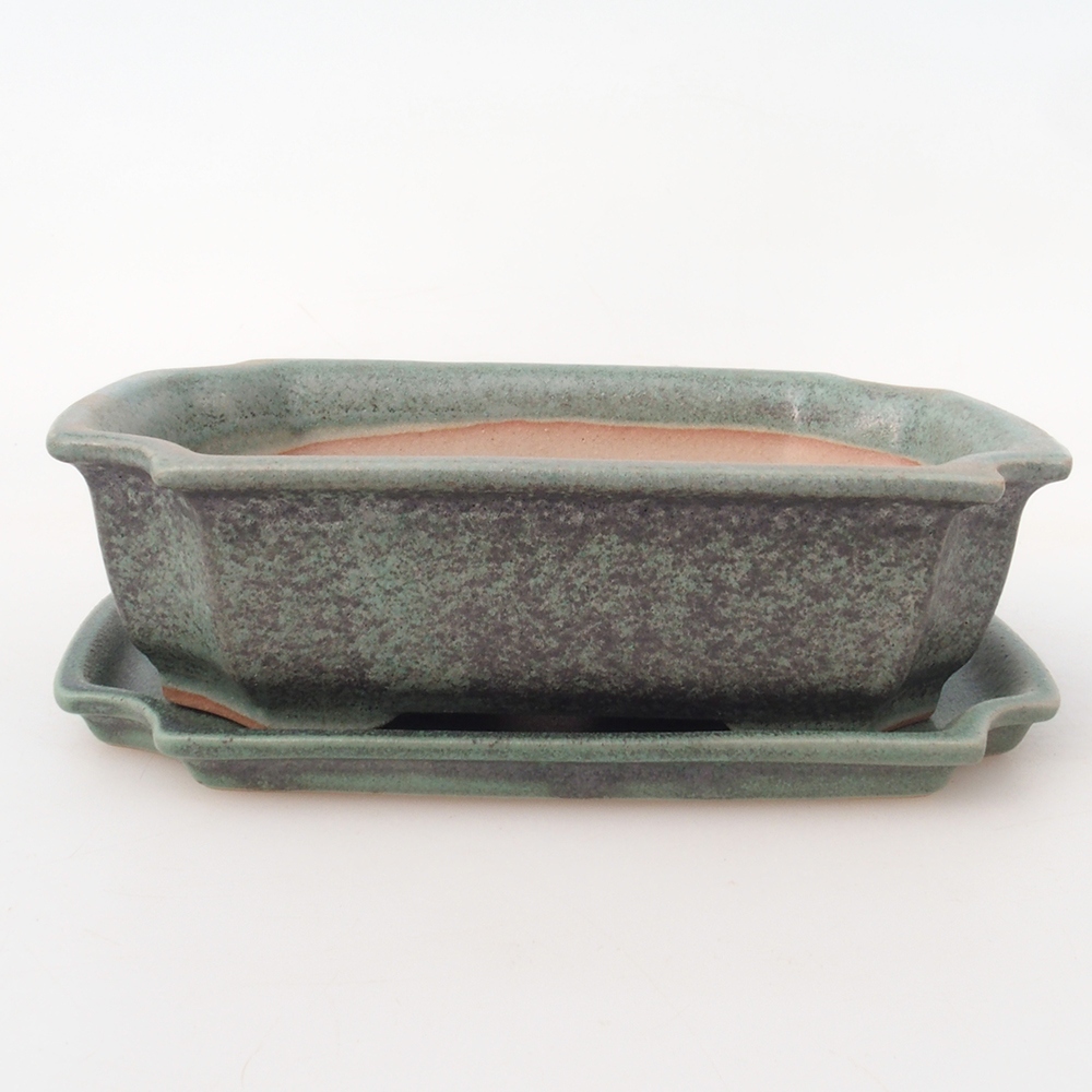 Bol Bonsaï + soucoupe H17 - 15 x 10 x 4 cm.