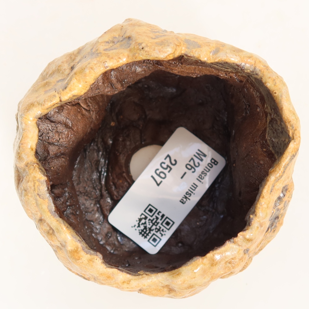 Coquille en céramique  7 x 6,5 x 6,5 cm, couleur marron