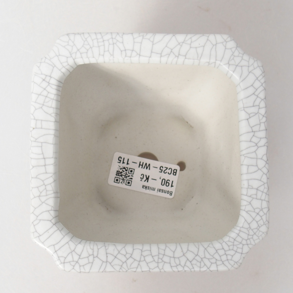 Bol à bonsaï en céramique 11 x 11 x 7 cm, couleur raku