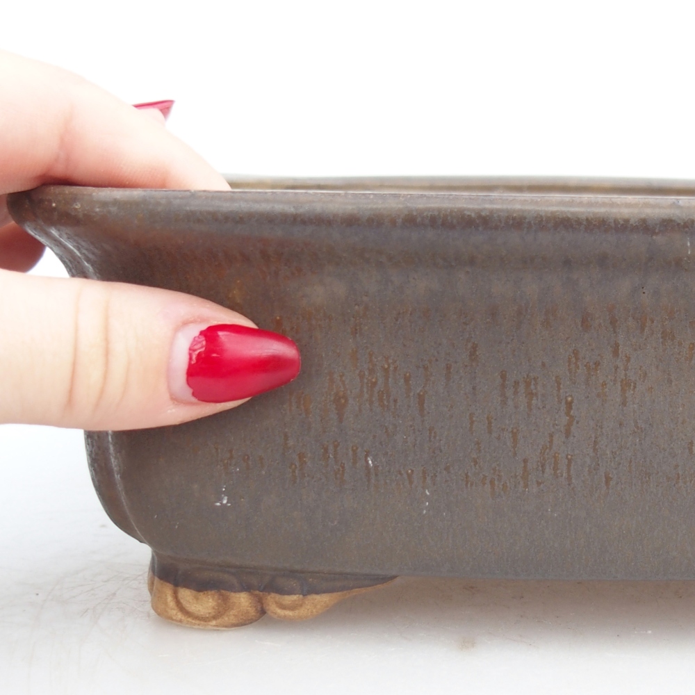 Bol à bonsaï en céramique 25 x 20 x 7,5 cm, brun