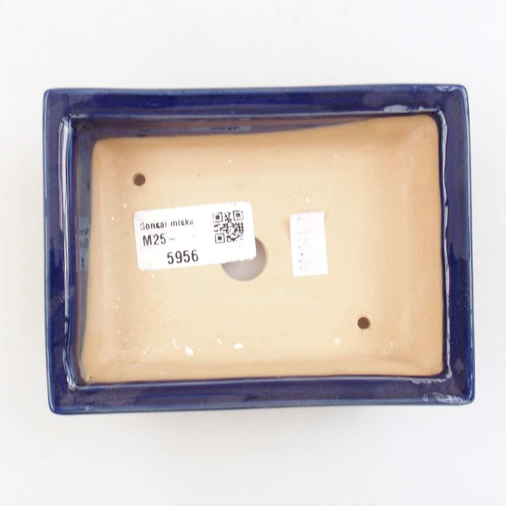 Bol à bonsaï en céramique 22 x 17 x 5 cm, vert