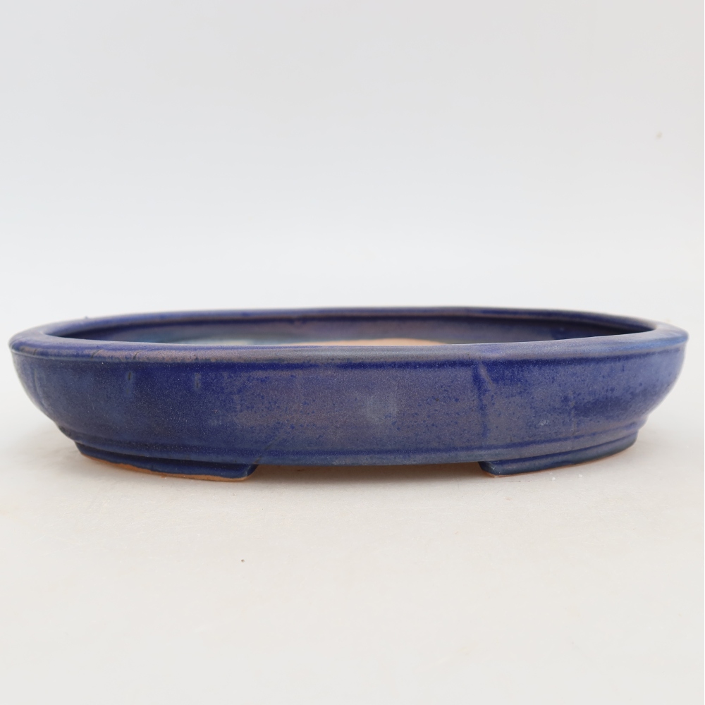 Bol à bonsaï en céramique 24,5 x 20 x 4 cm, couleur bleu