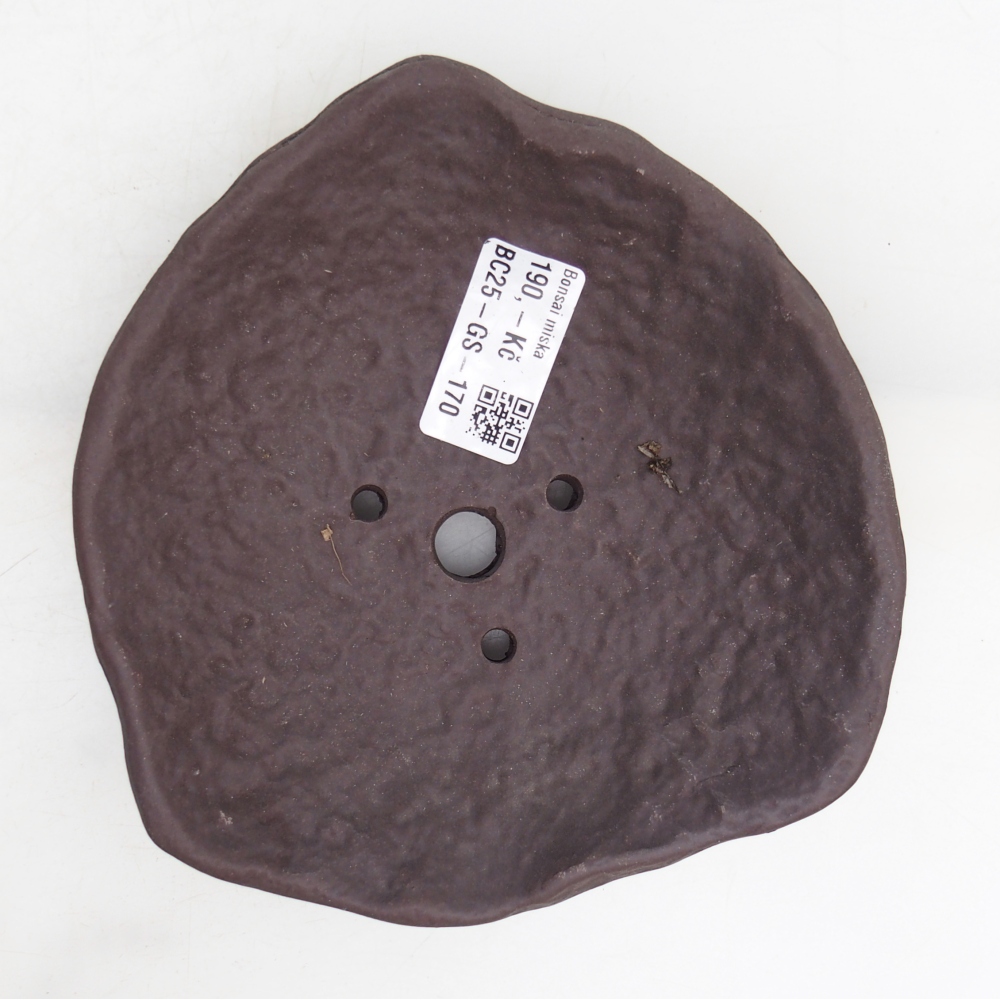 Coquille en céramique 15,5 x 15 x 4 cm , couleur marron