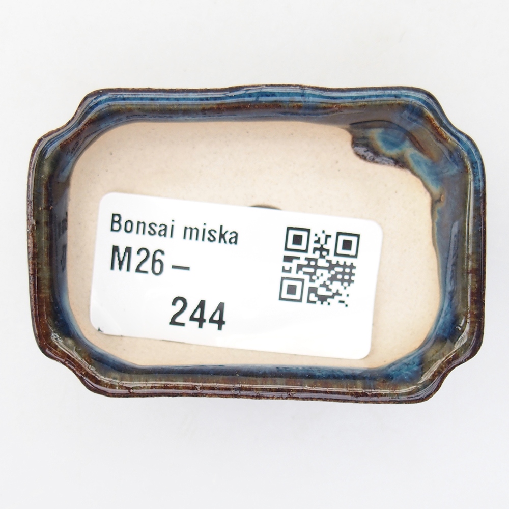 Mini bol bonsaï 6 x 4 x 1,5 cm, couleur bleu