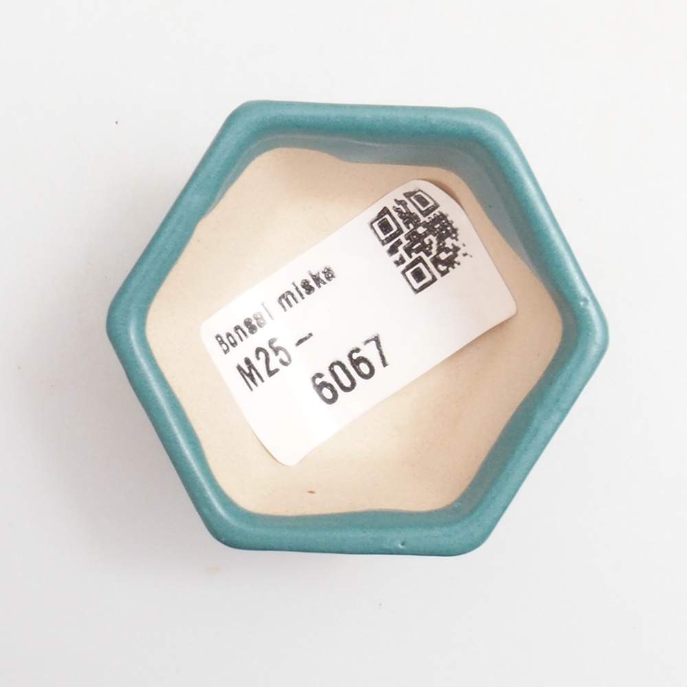 Bol à bonsaï en céramique 6,5 x 5,5 x 4 cm, couleur bleu