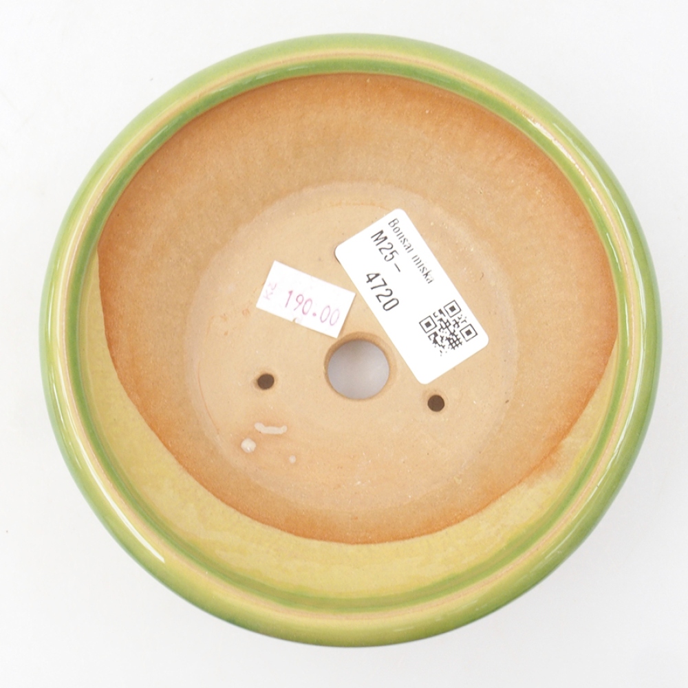 Bol à bonsaï en céramique 13,5 x 13,5 x 5 cm, vert