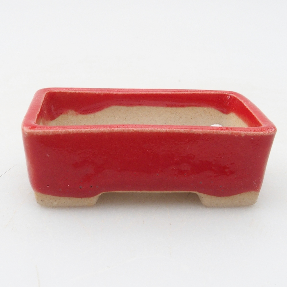 Mini bol bonsaï 5 x 3 x 2 cm, couleur rouge