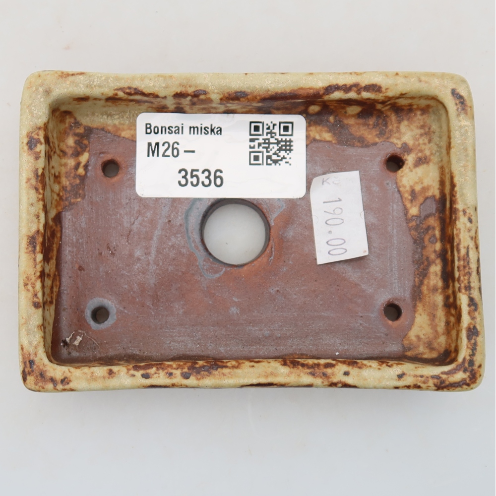 Bol à bonsaï en céramique 10 x 7 x 2 cm, couleur beige