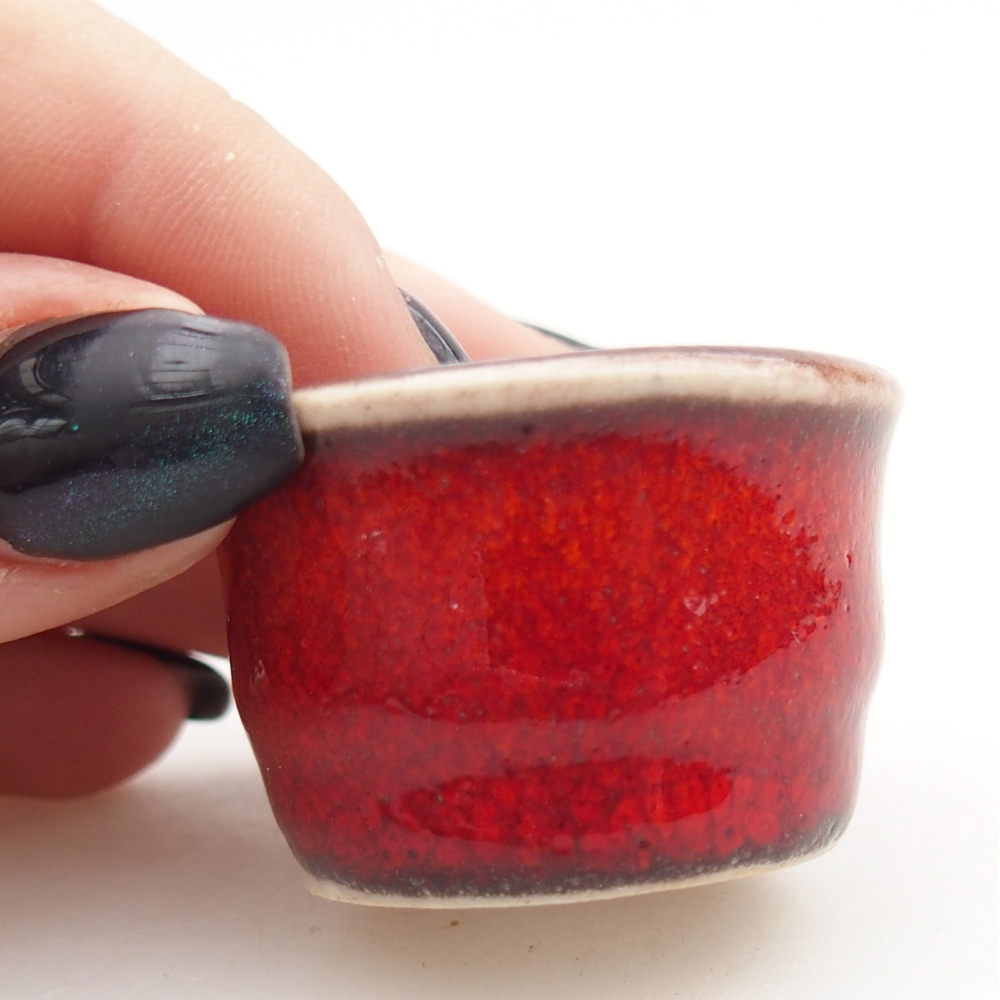Mini bol bonsaï 3,5 x 3,5 x 2,5 cm, couleur rouge