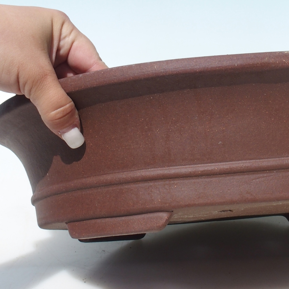 Bol pour bonsaï 41,5 x 33,5 x 10 cm bouleau brun