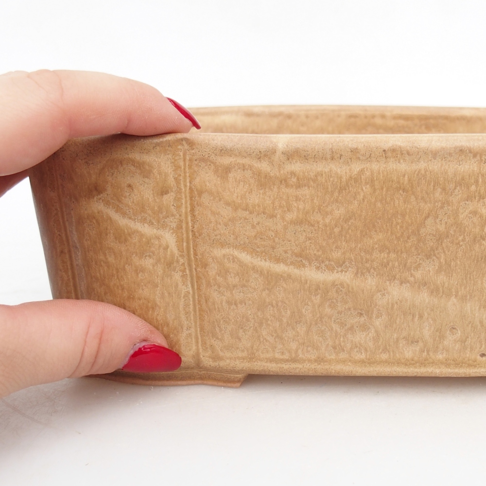 Bol à bonsaï en céramique 20 x 17,5 x 7 cm, couleur beige