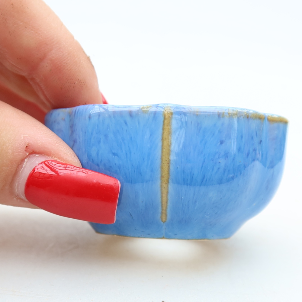 Pot à bonsaï en céramique 6 x 6 x 3 cm, couleur bleue