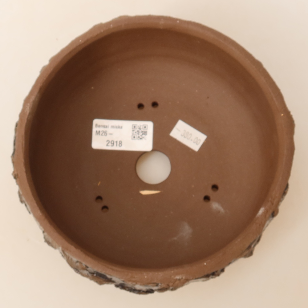 Pot à bonsaï en céramique 16 x 16 x 6,5 cm, couleur marron