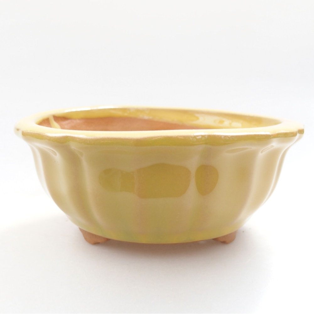 Bol à bonsaï en céramique 22 x 17 x 5 cm, vert