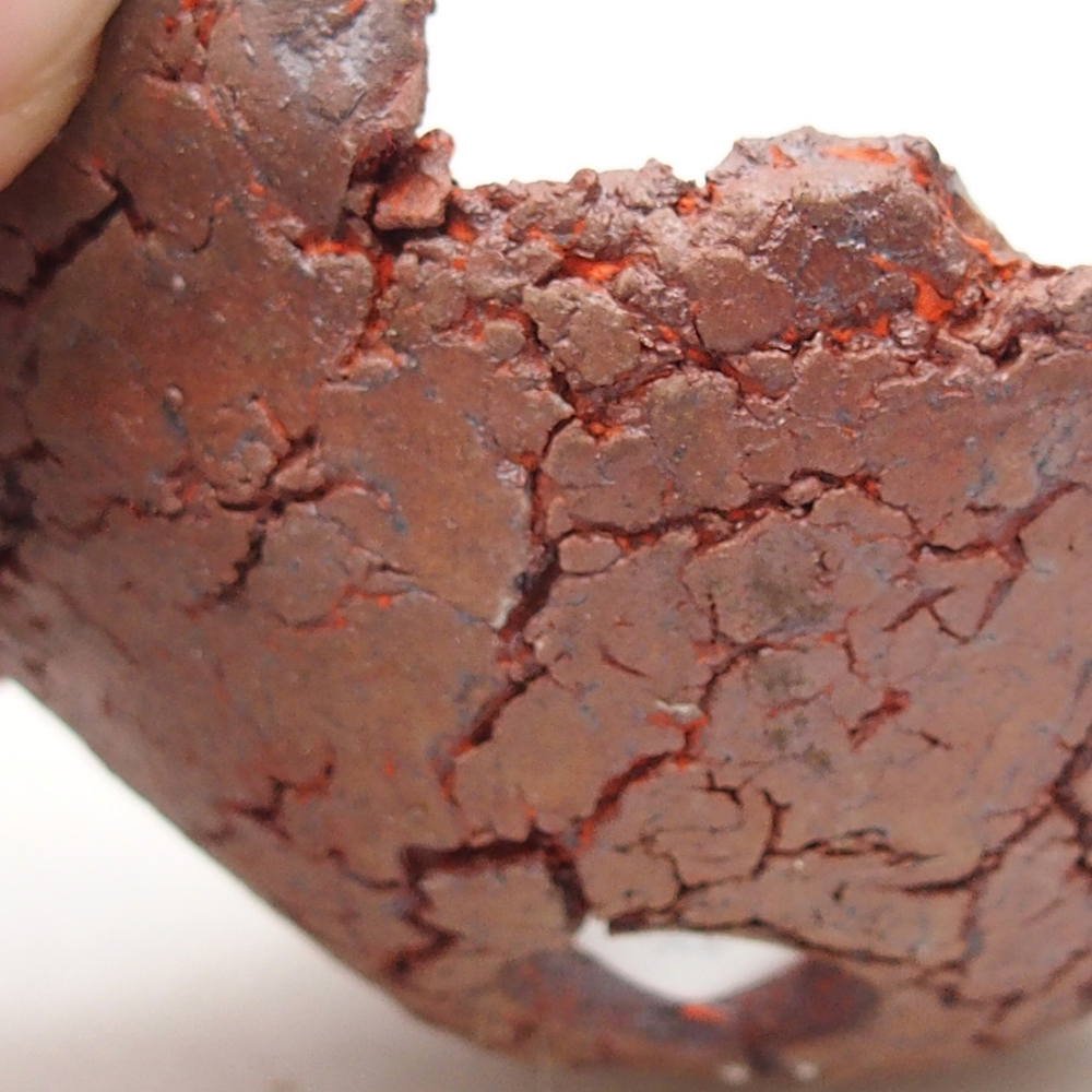 Coquille en céramique 7 x 7 x 3 cm , couleur orange