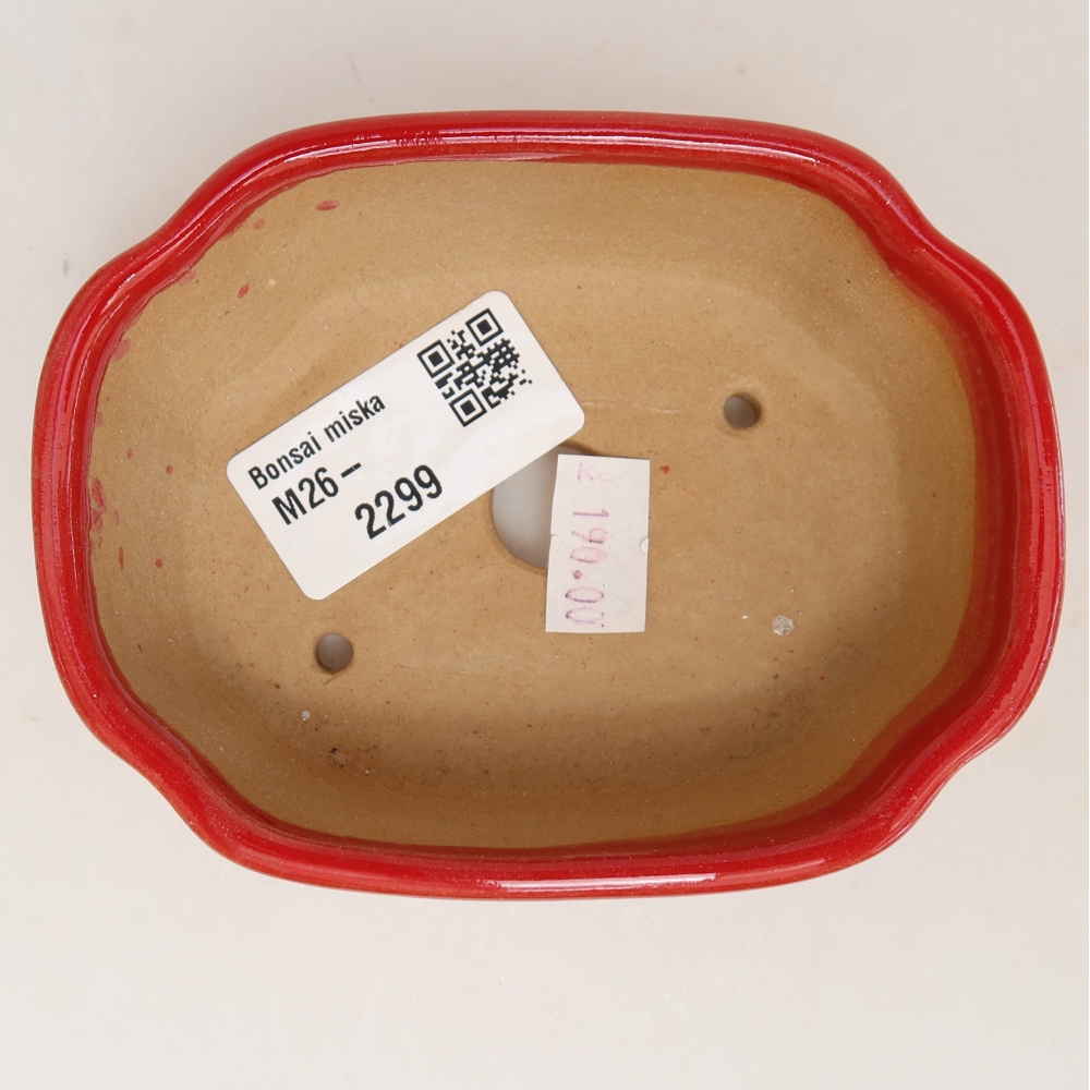 Pot à bonsaï en céramique 10,5 x 8 x 4 cm, couleur rouge