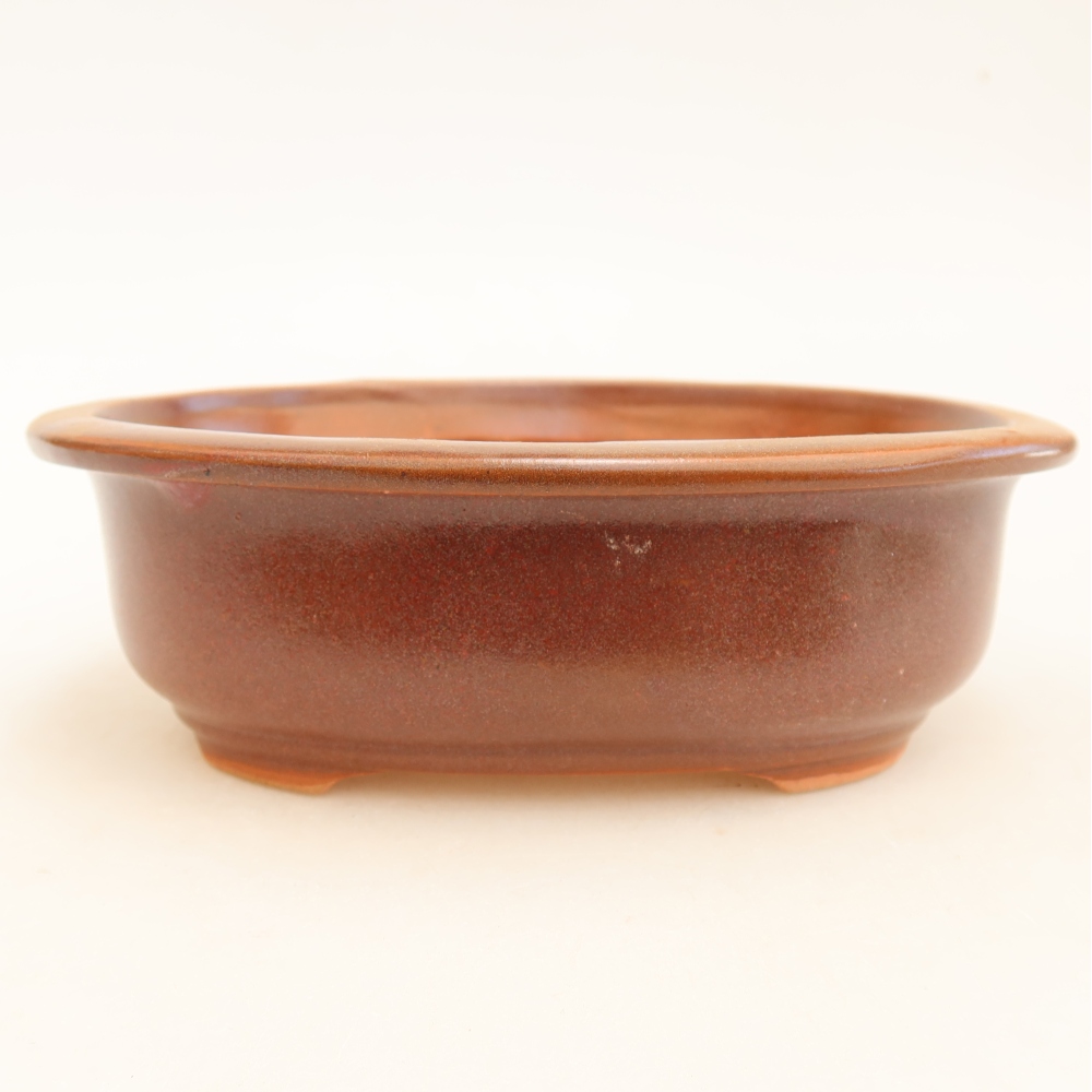 Pot à bonsaï en céramique 18 x 14,5 x 5,5 cm, couleur bordeaux
