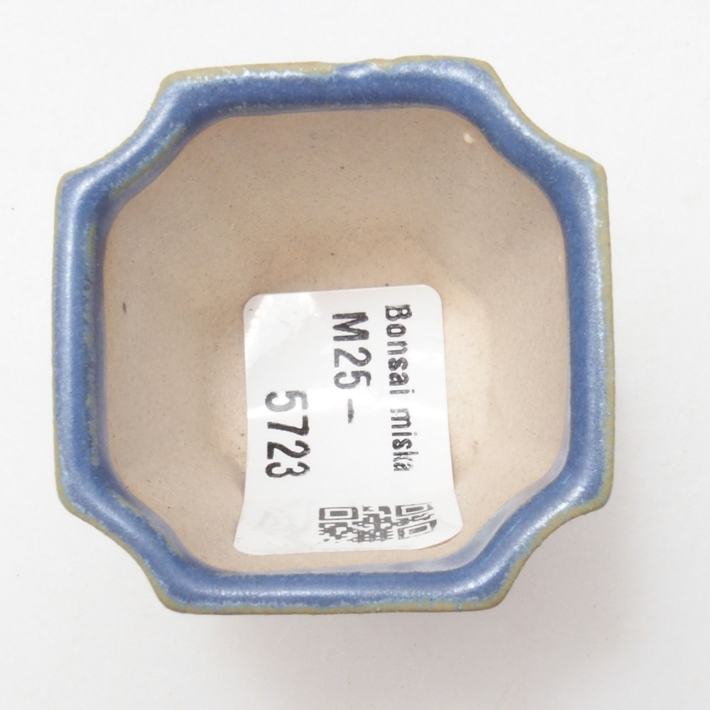 Mini bol bonsaï 4 x 4 x 4 cm, couleur bleu
