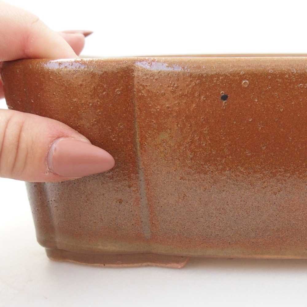 Bol à bonsaï en céramique 20,5 x 17 x 7 cm, brun