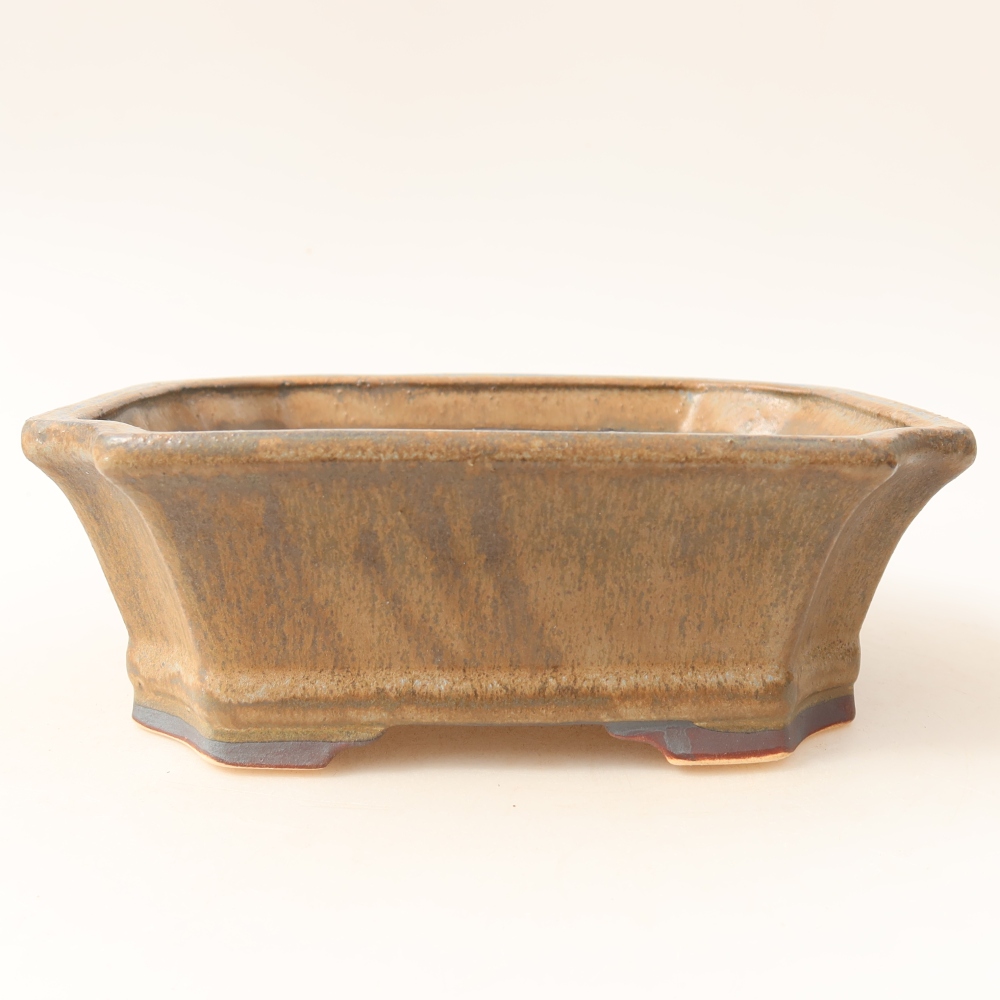 Pot à bonsaï en céramique 18 x 15,5 x 6 cm, couleur marron