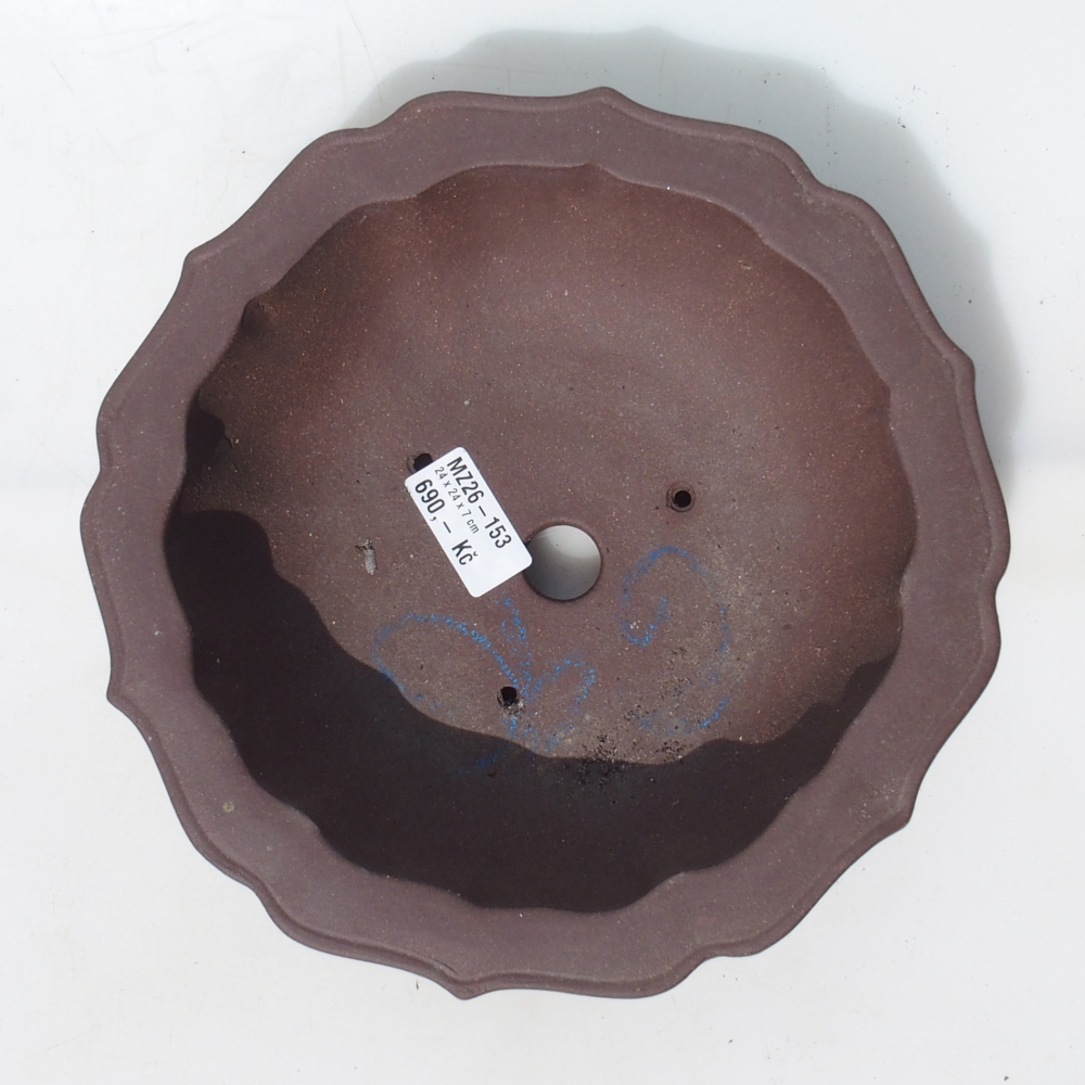 Bol pour bonsaïs 24 x 24 x 7 cm bouleau brun