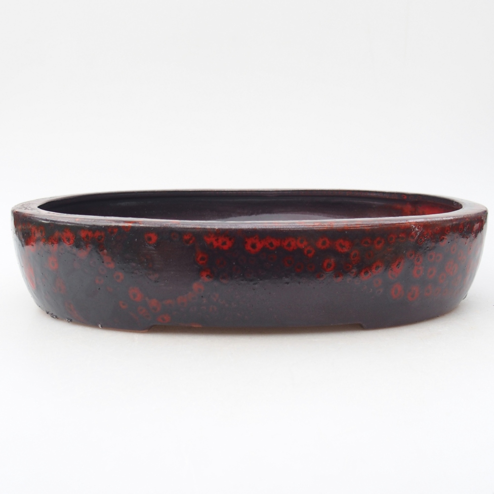 Bol à bonsaï en céramique 27 x 21 x 5,5 cm, couleur rouge-noir
