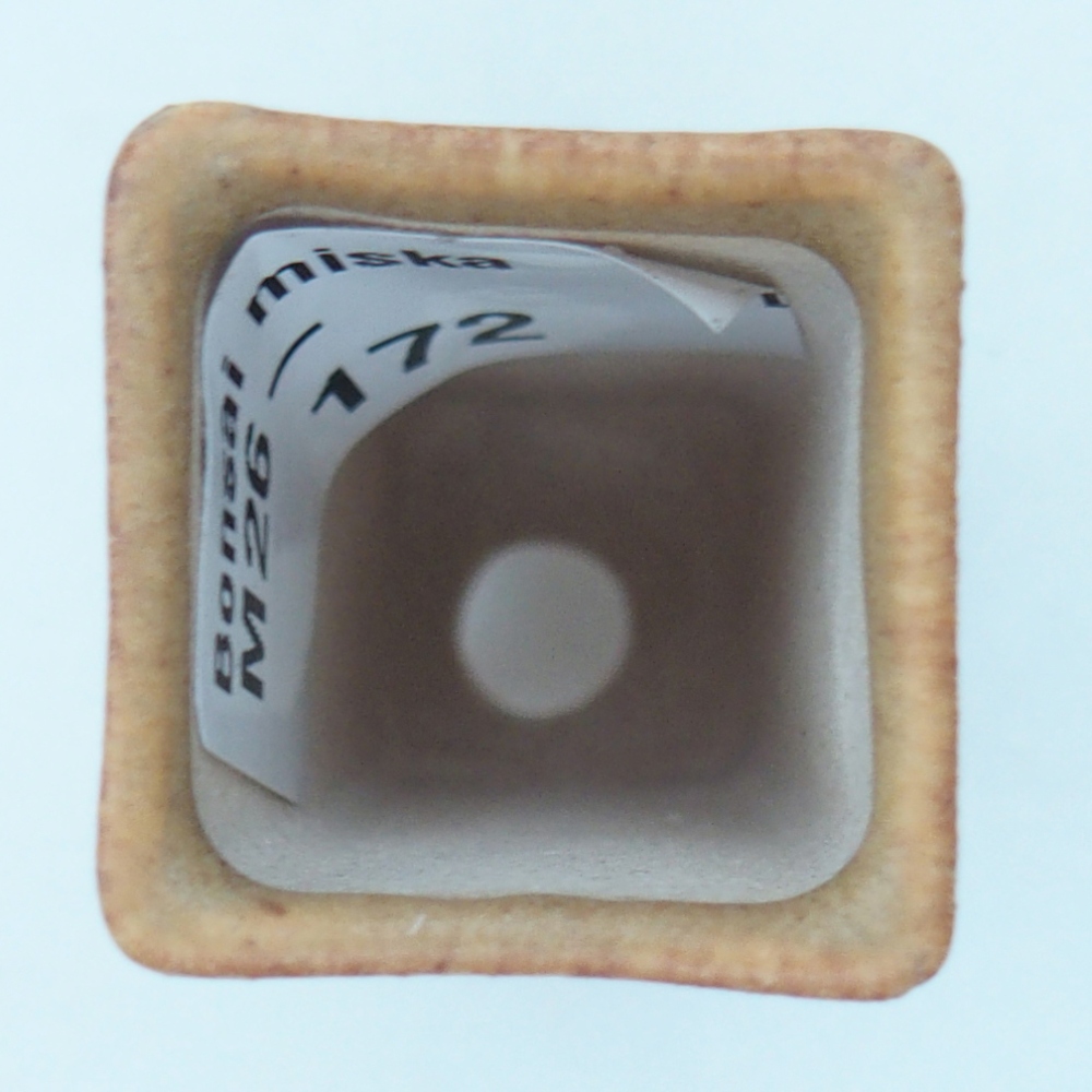 Mini bol bonsaï 2 x 2 x 5 cm, brun