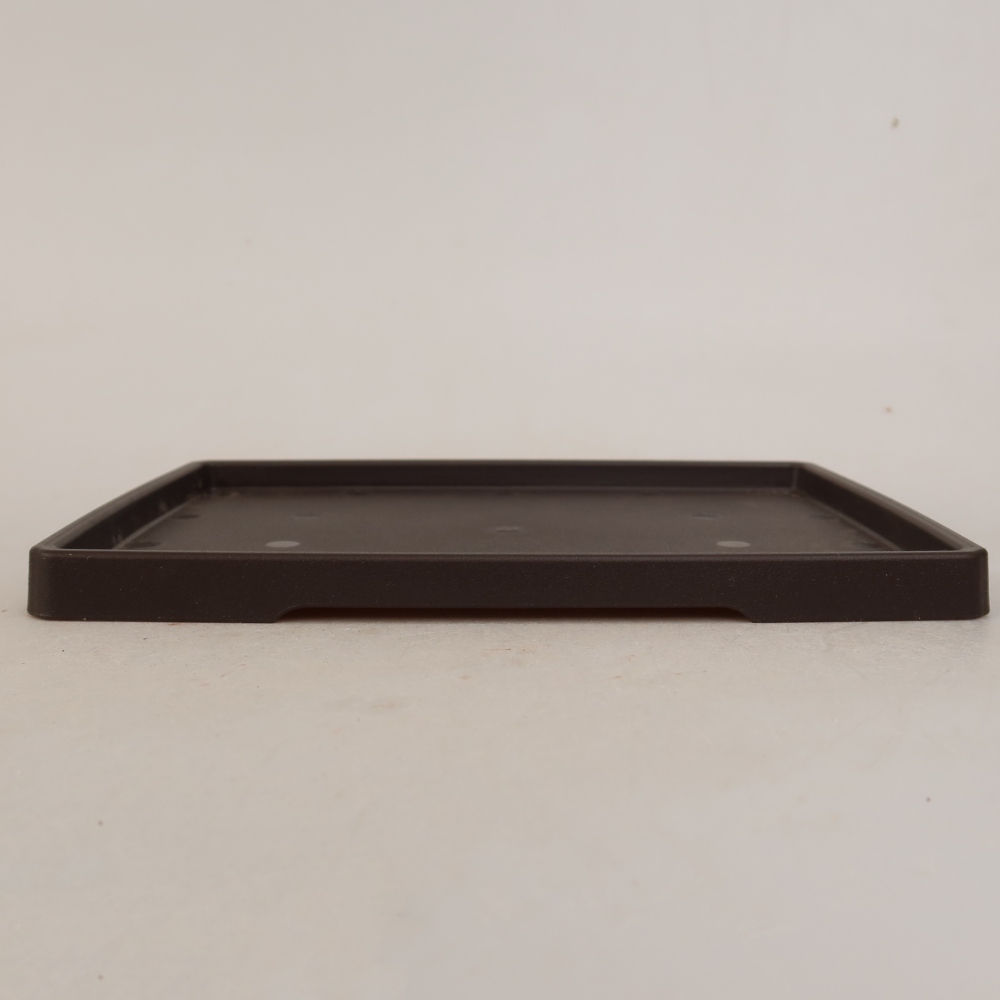 Soucoupe pour bonsaï en plastique PP-2 - 20 x 15 x 1,2 cm, couleur marron